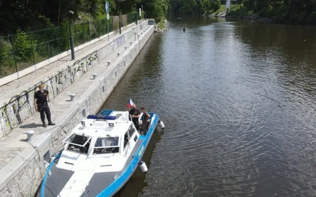 Pátrání po zmizelých labutích v Praze a okolí