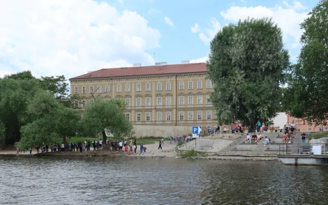 Pátrání po zmizelých labutích v Praze a okolí