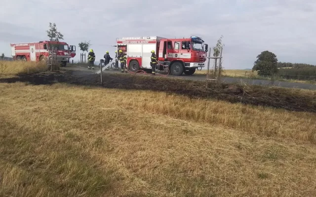 Hasiči varují před požáry v přírodě. Od začátku týdne zasahovali u devatenácti případů