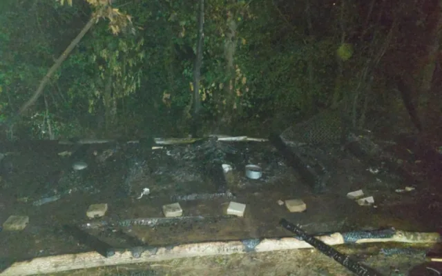 Při požáru chovné stanice ve Žluticích uhynulo pět psů, kotce asi někdo zapálil