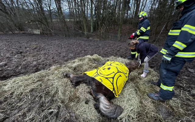 Hasiči v Noskově zachraňovali koně. Na pomoc vyrazil i jeřáb