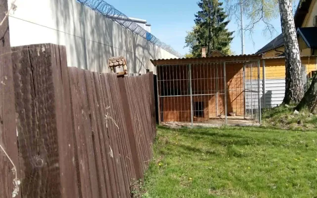 Zvířecí záchranku opakovaně vykradli. Pomoci teď může veřejnost ve sbírce