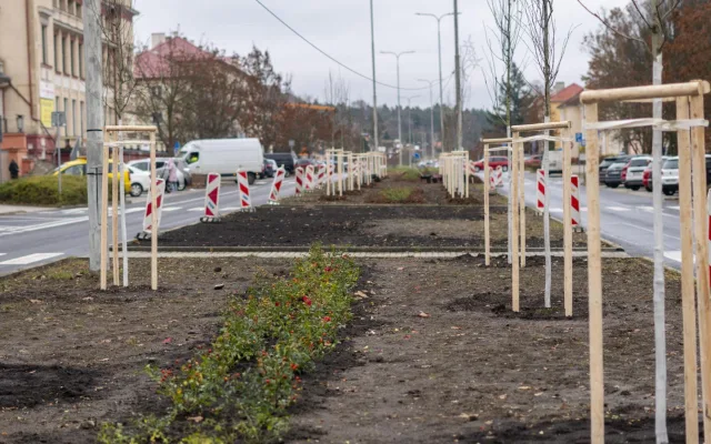 Ostrov pokračuje v obnově Hlavní třídy. Druhá etapa přinese květinové záhony