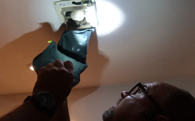 Záchrana netopýra z ventilátoru