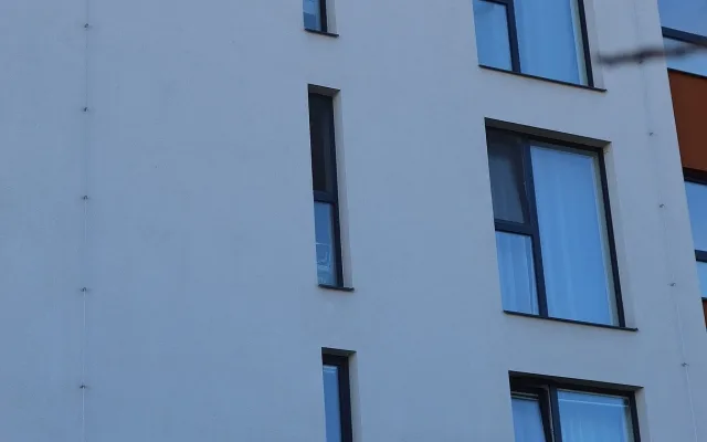 Tudy se dostal pták do vzduchového potrubí