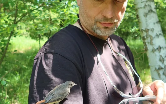 Vypouštění rehků, kteří hnízdili v kuchyňské digestoři