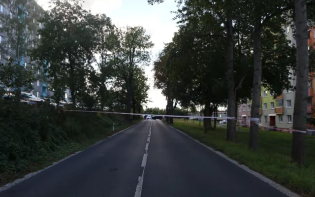 Mladá chodkyně zemřela po střetu s Audi v Karlových Varech