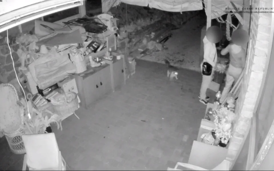 VIDEO: Trojice žen vyrazila na lup, plány jim zhatila paní, co šla krmit kočky