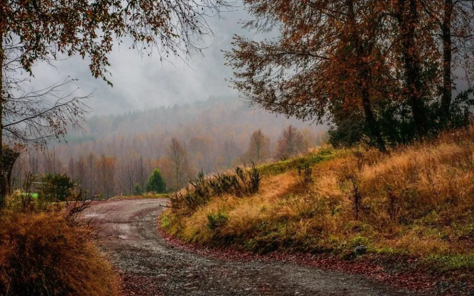 Ilustrační foto.