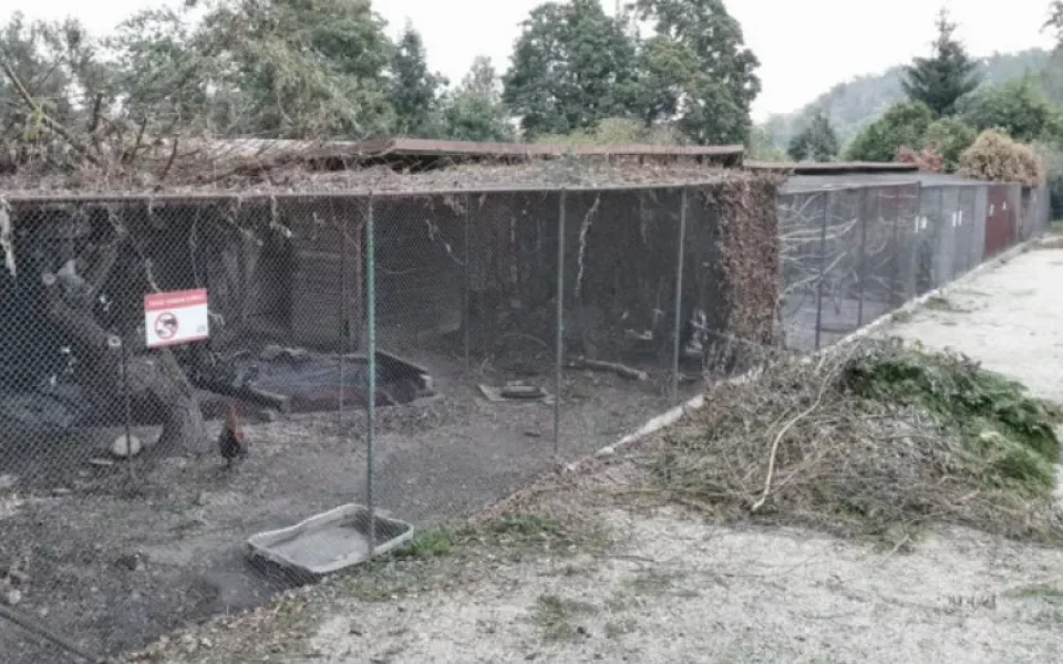 Ilustrační foto.