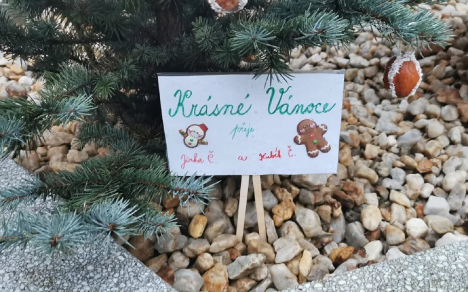 květináč4