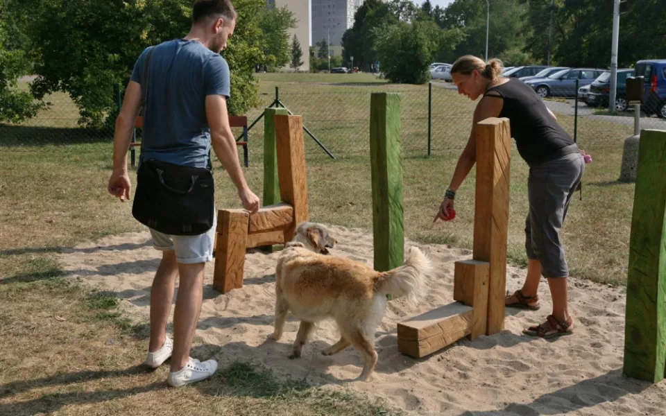 Ilustrační foto.