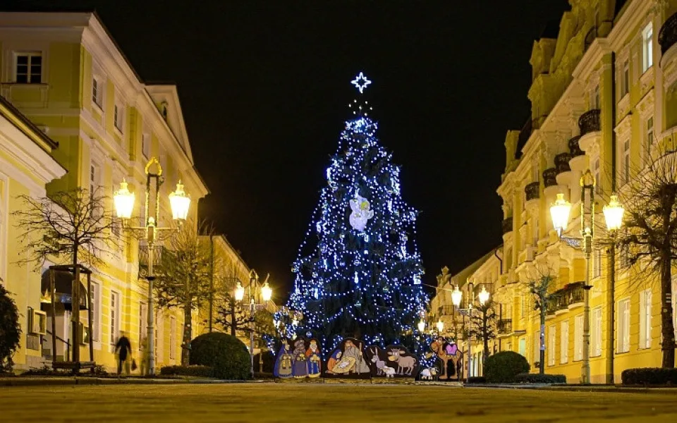 Vánoční-strom-Františkovy-Lázně-1