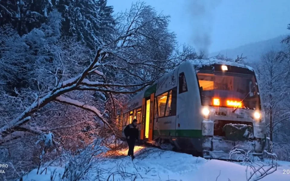 Pod těžkým sněhem se lámou stromy, komplikují dopravu i dodávky elektřiny