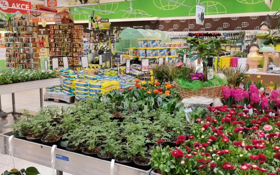 Přivítejte ve vaší zahrádce jaro s hypermarketem Globus