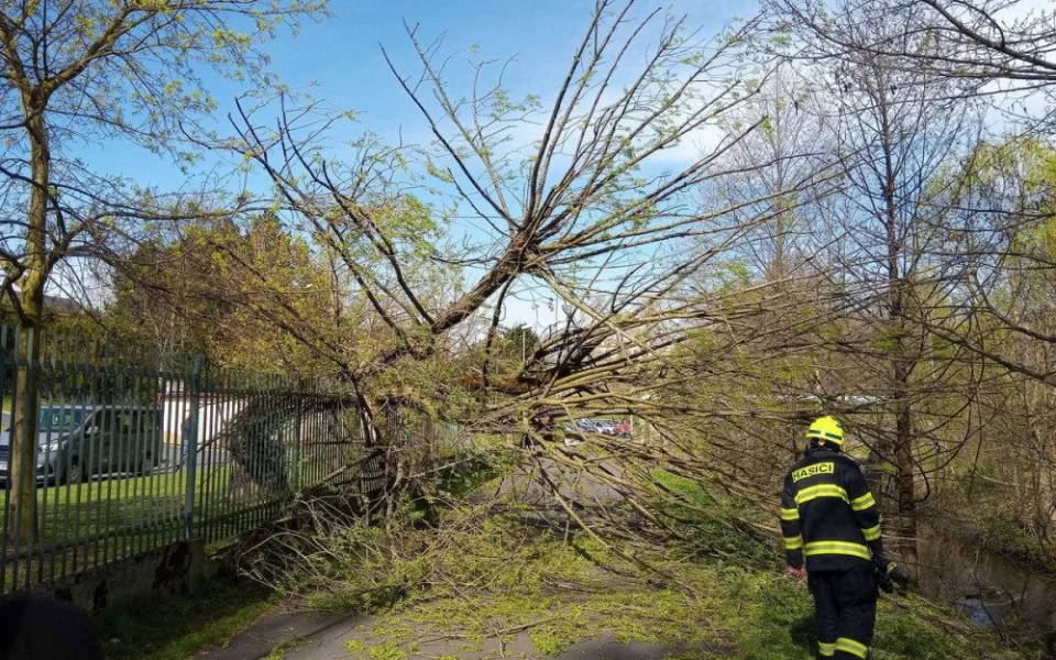 Silný vítr trápí Karlovarský kraj, padající strom zasáhl ženu a dvě děti