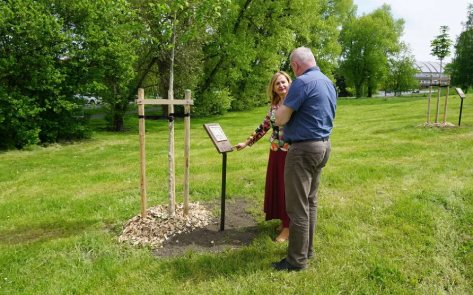 V Sokolově na sídlišti Vítězná vznikl městský park Stromokruh 2020