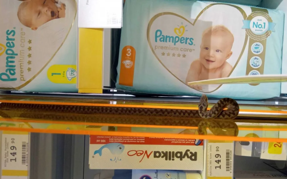 V regálech s dětským zbožím našli zmiji. S odchytem pomohli hasiči