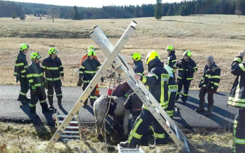 Velká záchranná akce v Krušných horách, do hluboké jámy u silnice zapadlo hříbě