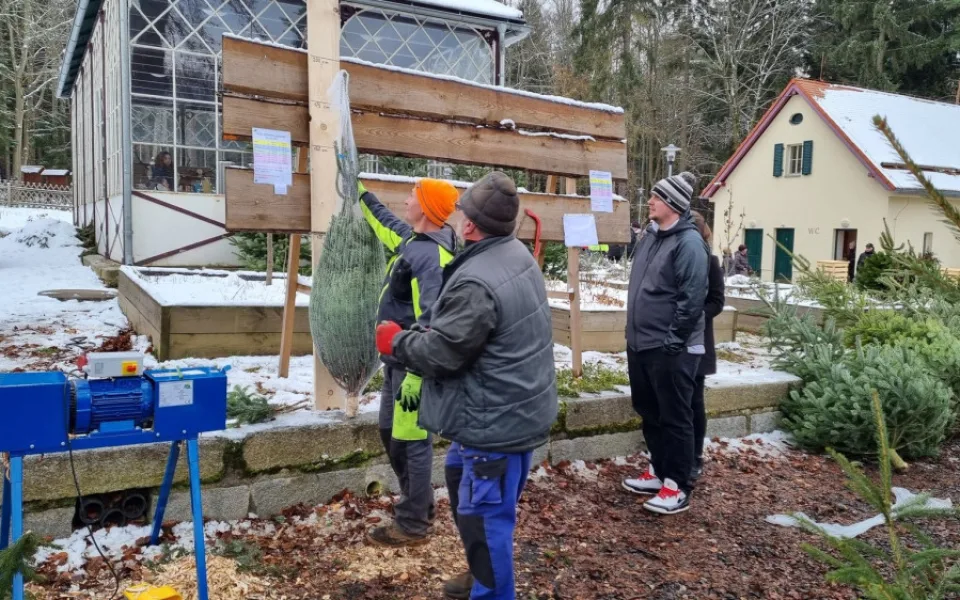Vlastní stromky i kapry z místního rybníka nabízí karlovarské lázeňské lesy