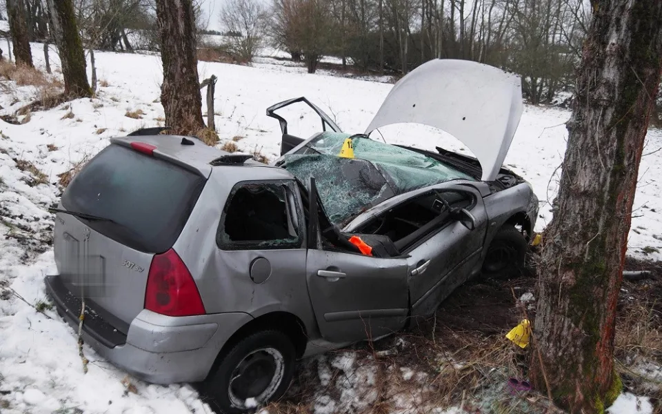 Řidič dostal smyk, auto poté vyjelo ze silnice a narazilo do stromu