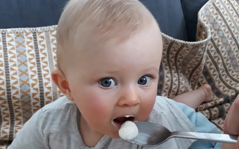Lipánek je jako jediný bez škrobu, dusíku, želatiny a xanthanu