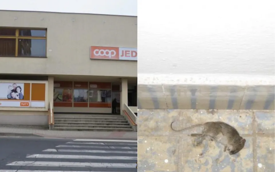 Prodejna potravina na Karlovarsku byla plná mrtvých myší