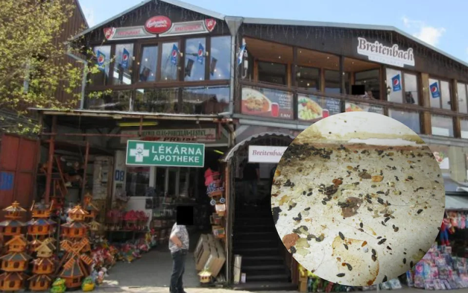 Inspektoři cítili v restauraci na Karlovarsku pach myšiny. Našli trus hlodavců