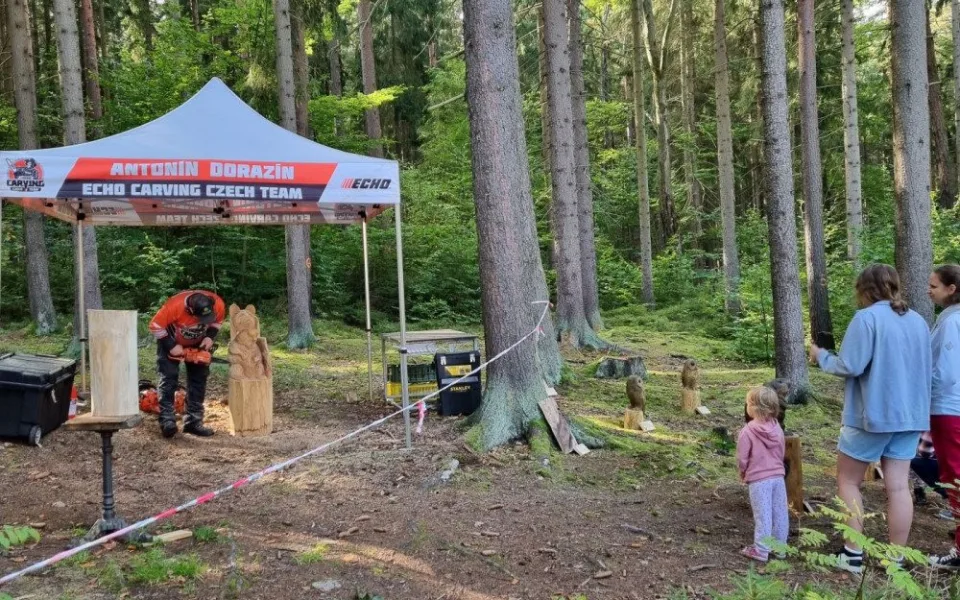 Na netradiční řezbářská díla, piknik v lese a stezku s úkoly lákají lázeňské lesy