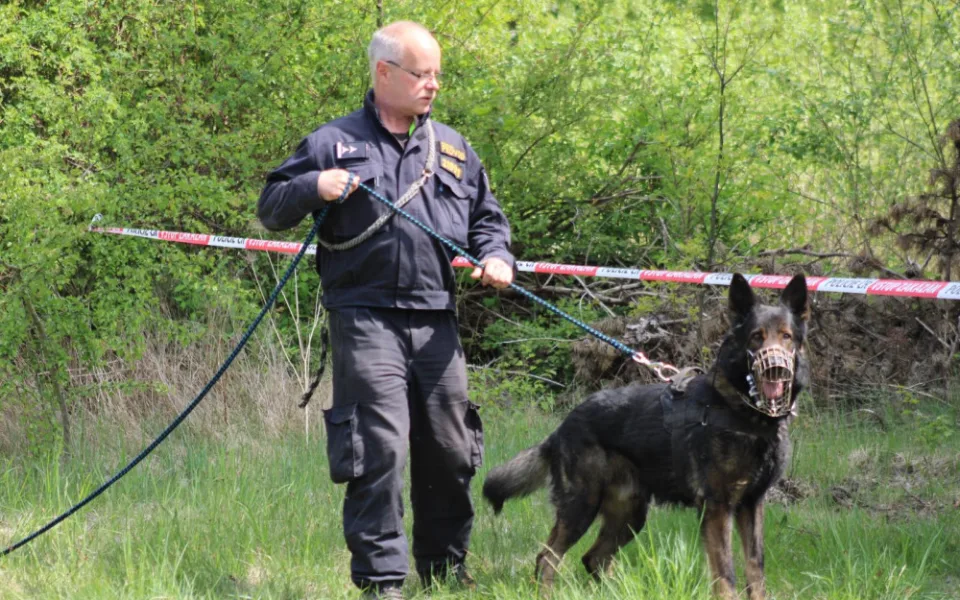 Ztraceného cizince nakonec vypátral ve vysoké trávě policejní pes Dag