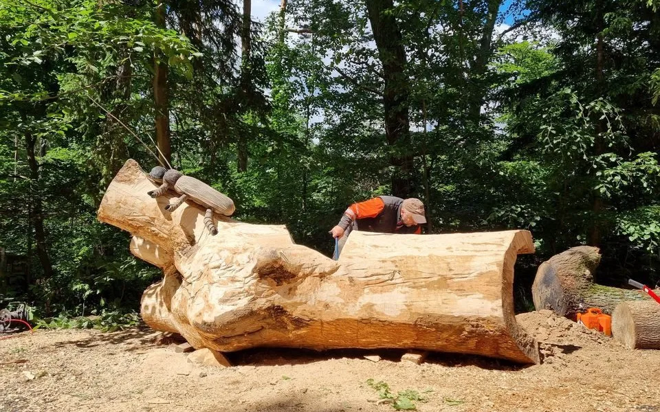 Z 200 let starého dubu pokáceného vichřicí už vznikla dětské prolézačka, řezbáři využijí i zbývající dřevo