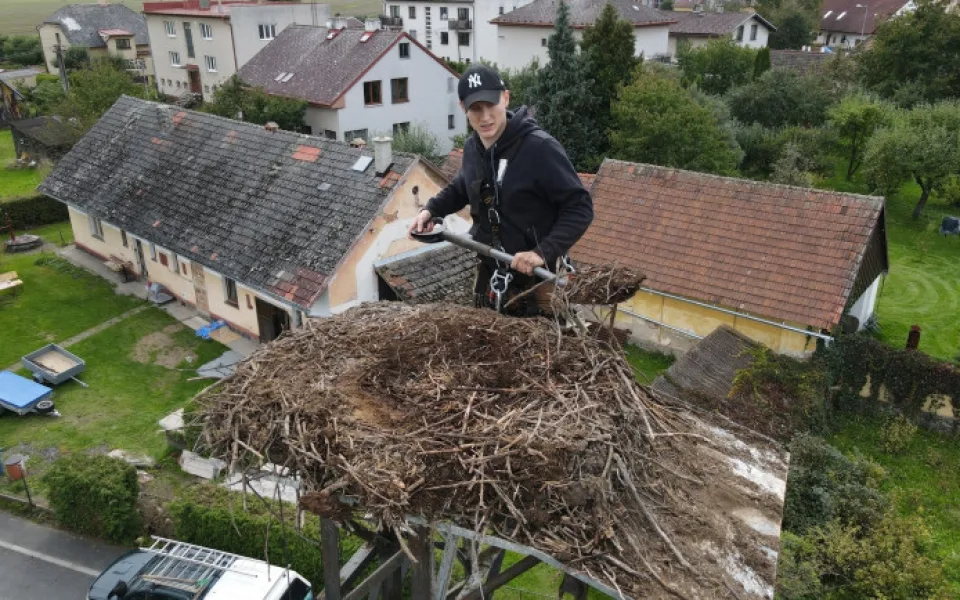 Radek Zeman v akci na hnízdě v Točníku U Klatov.