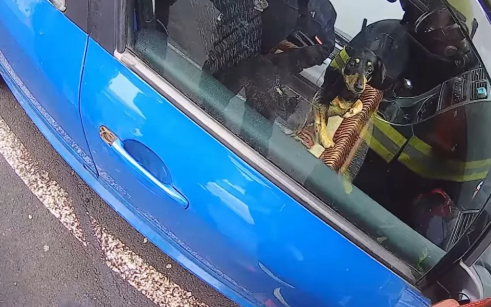 Pejsek zůstal uvězněný uvnitř automobilu, majiteli nešel vůz klíčkem odemknout