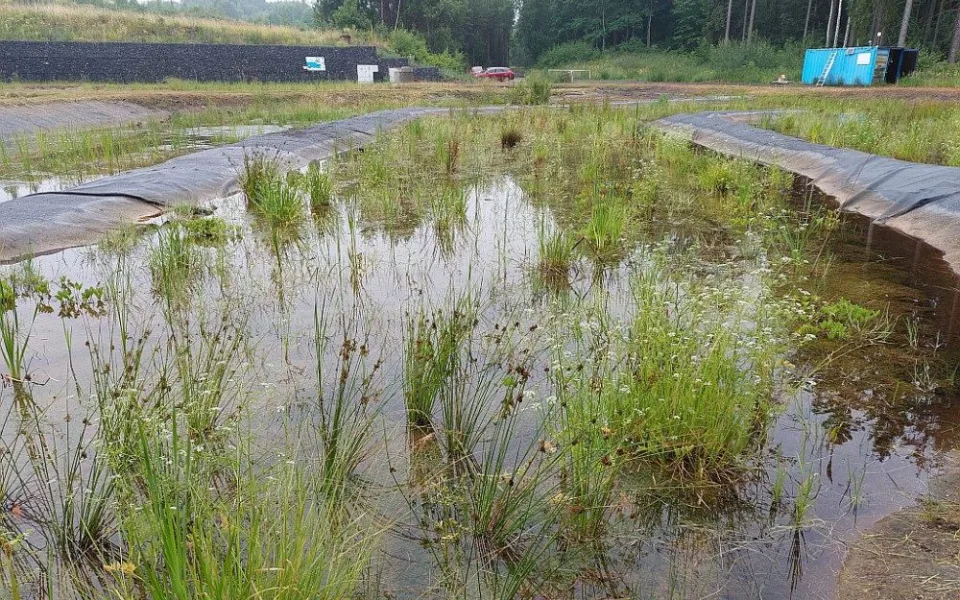Wetland v Hájku na Karlovarsku