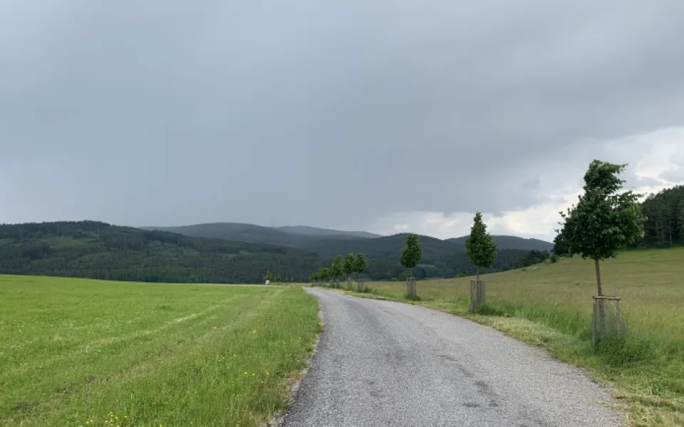 Ilustrační foto.
