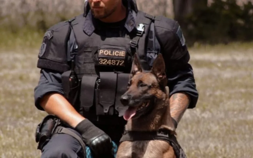 Celostátně hledaného mladíka vypátral policejní pes Copper