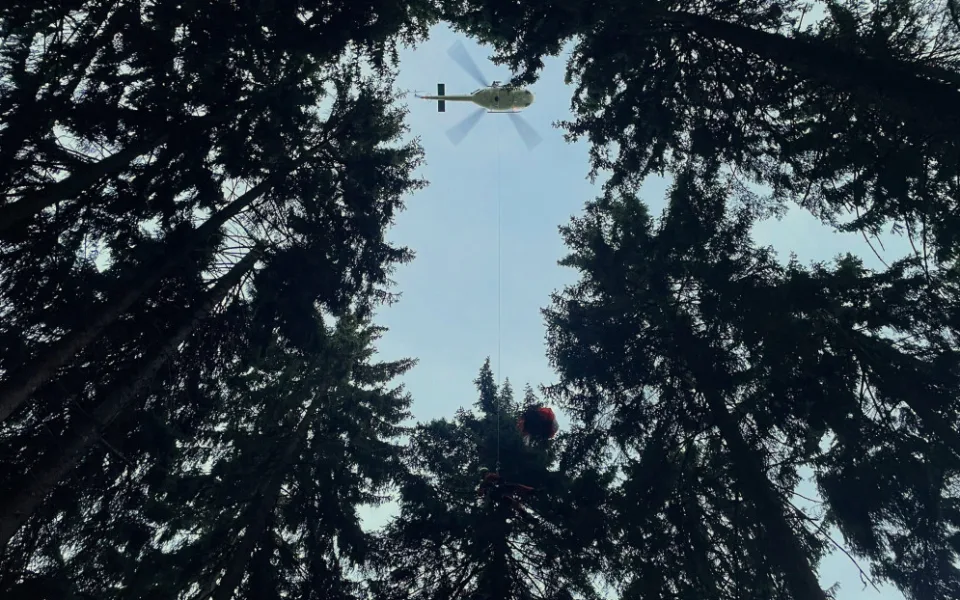 VIDEO: Paraglidista zůstal viset v koruně stromu. Zachránil ho hasič, který k němu slanil z vrtulníku policie