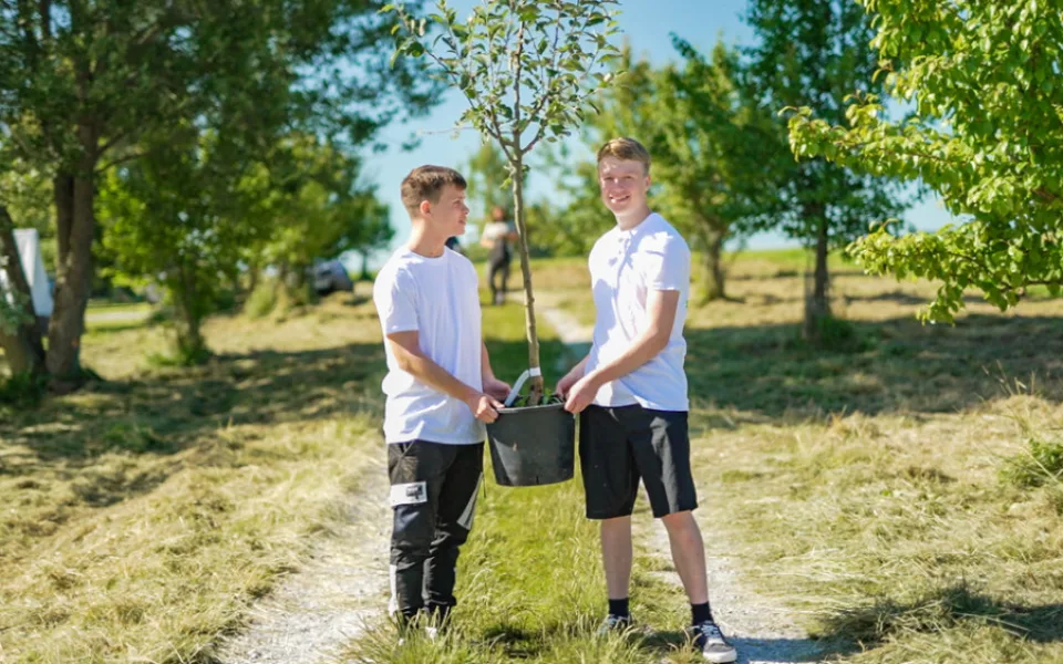 ilustrační foto
