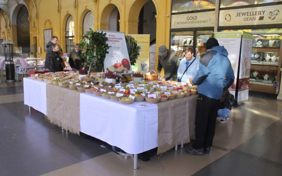 Festival jablek představil přes stovku regionální odrůd jablek