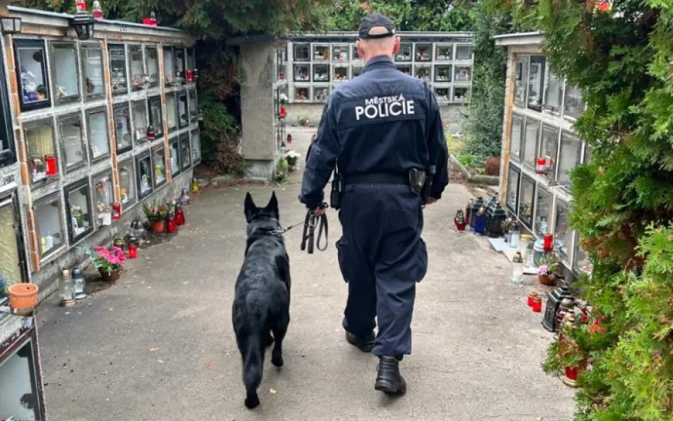 Karlovarští strážníci půjdou omrknout hřbitovy. Vezmou s sebou i psy
