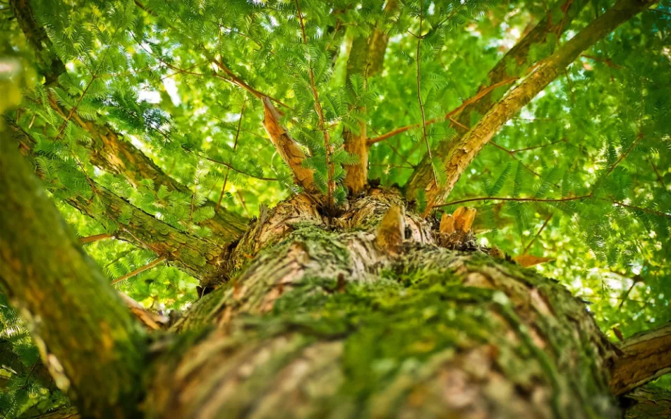 Ilustrační foto.