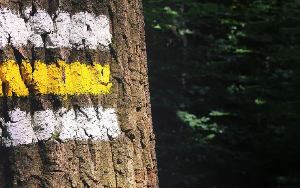 signpost-2222318_1920