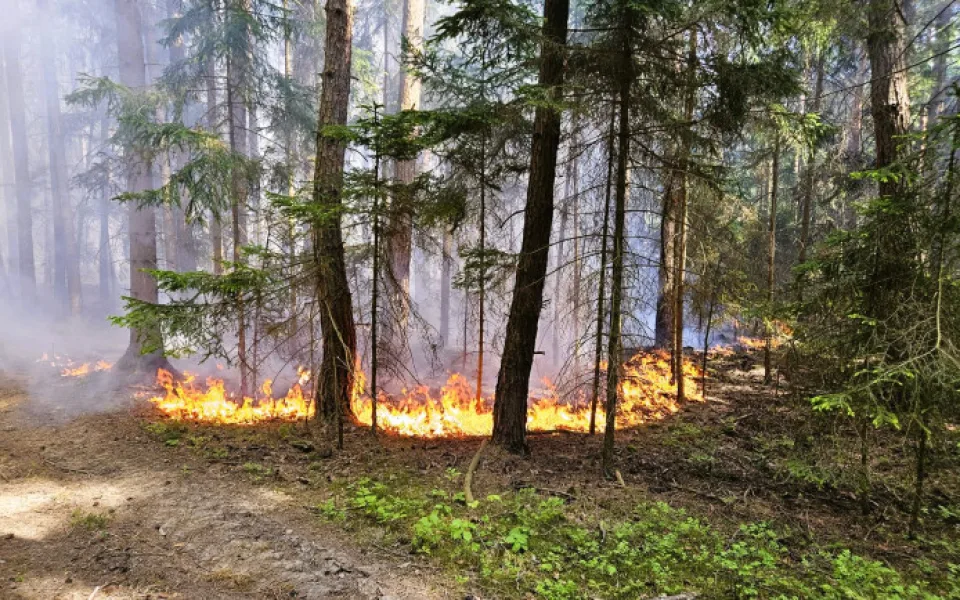 Kvůli suchu a větru hrozí v kraji nebezpečí vzniku požárů