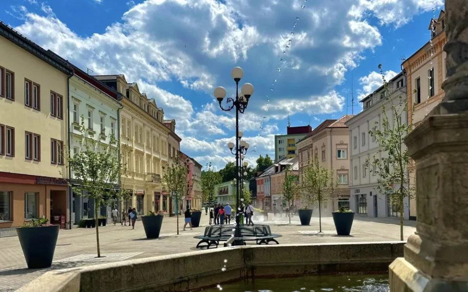 Sokolovské Staré náměstí stíní nově vysázená javorová alej