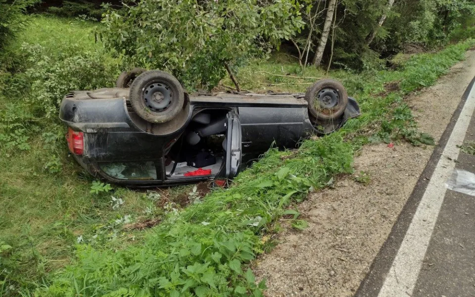 Auto vyletělo ze silnice a poškodilo vozí hnízdo. Vosy pak napadaly záchranáře, kteří pomáhali těžce raněným