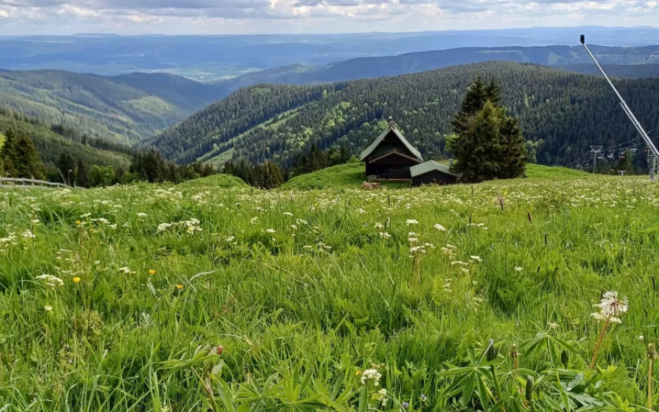 Boží Dar žádá o zastavení procesu vyhlášení CHKO Krušné hory