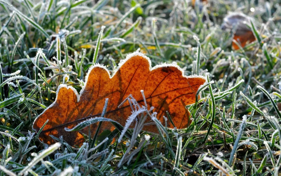 Během víkendu mohou do Karlovarského kraje dorazit přízemní mrazíky