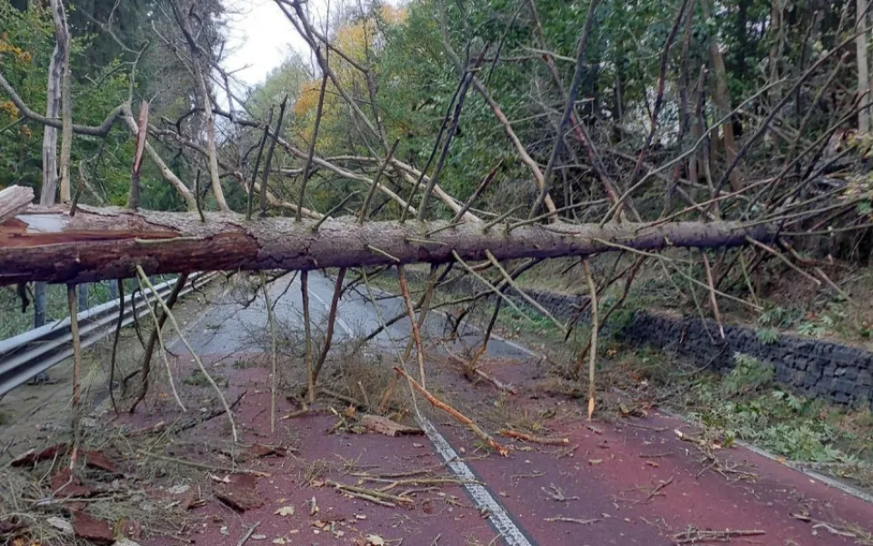 Hasiče po vichřici zaměstnávalo množství popadaných stromů