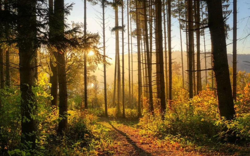 Týden přinese oteplení, v pátek může být až 18 stupňů