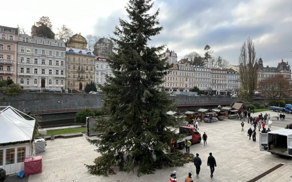 Vánoční strom v Karlových Varech se rozsvítí o první adventní neděli